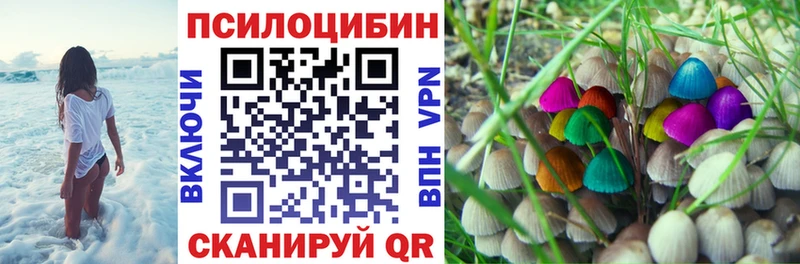 Псилоцибиновые грибы Psilocybine cubensis Плёс